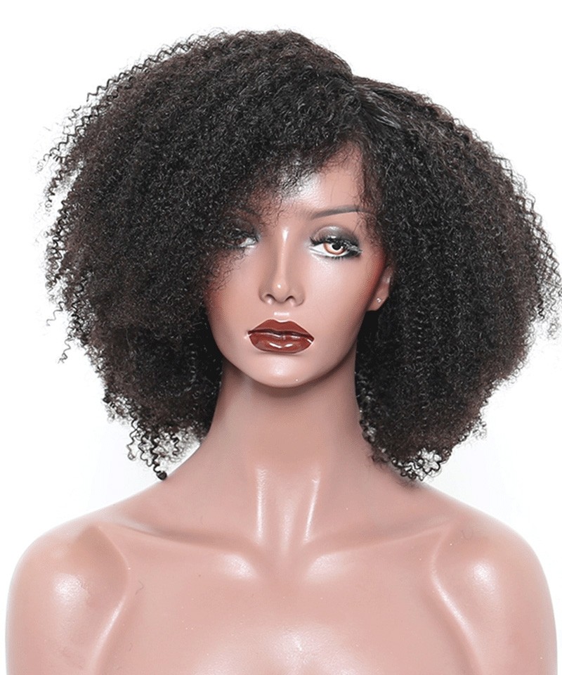 Afro Kinky Curly Hair Wigs Fv 1 
